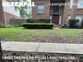 Lawn Care Servicein Missouri City,77459,Grass Cut by Prizel Lawn Services, work completed in Jul , 2026
