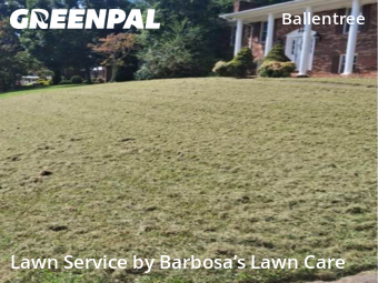 Grass Cut nearby Asheville, NC, 