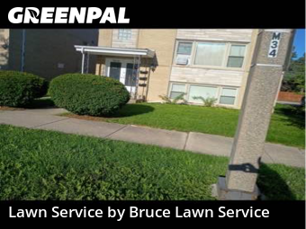 Yard Grooming in Westchester, 60154, Lawn Maintenance by Bruce Lawn Service, work completed in Nov , 2025