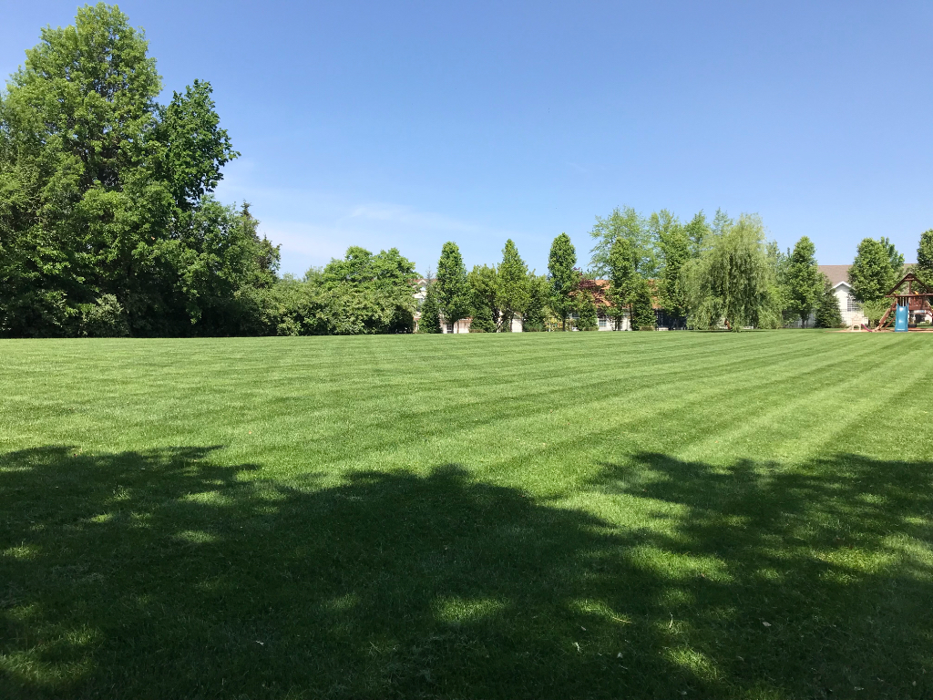 Lawn Care Service in St Charles , MO, 63376