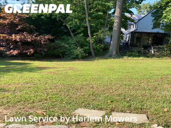 Front Yard Mowing in New Rochelle, 10801, Yard Work by Harlem Mowers, work completed in Dec , 2025