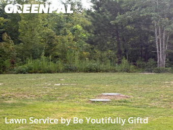 Yard Cutting nearby Wendell, NC, 