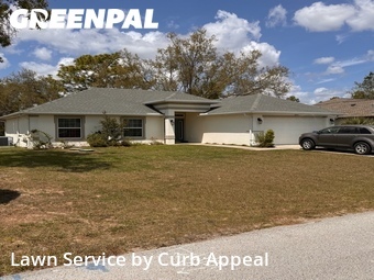 Grass Cutting nearby Spring Hill, FL, 