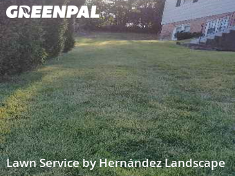 Lawn Care nearby Springfield Township, PA, 