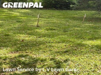 Yard Mowing nearby Fairfax, VA, 