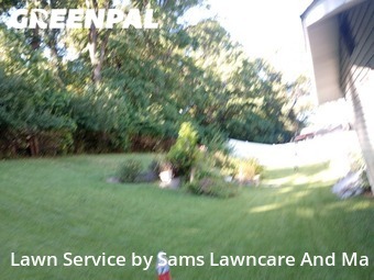 Yard Cutting nearby St. Louis, IL, 