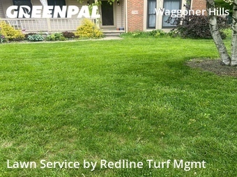 Grass Cutting nearby Reynoldsburg, OH, 