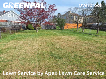 Yard Cutting nearby Pittsburgh, PA, 