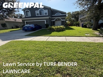 Yard Cutting nearby Oldsmar, FL, 