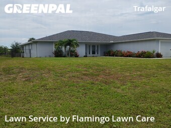 Yard Mowing nearby Cape Coral, FL, 