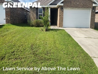 Lawn Management in Bellview, 32526, Mowing Services by Above The Lawn, work completed in Nov , 2025