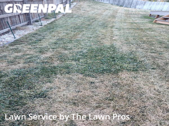Lawn Cutting nearby Thornton, CO, 