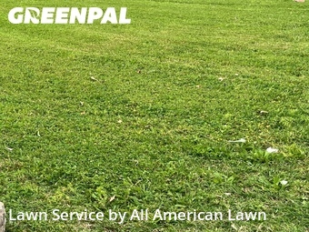 Lawn Cutting nearby Ballwin, MO, 