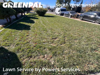 Work completed by grass-trimming-service-in-Westminster-CA