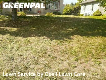 Lawn Cut nearby Osseo, MN, 