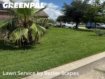 Lawn Cut nearby Tomball, TX, 