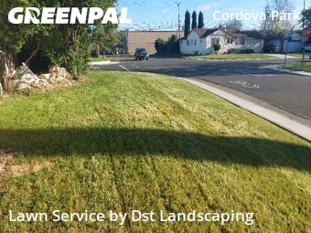 Yard Cutting nearby Rancho Cordova, CA, 