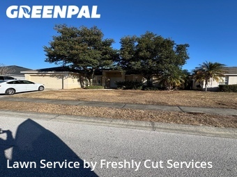 Lawn Cut nearby Lakeland, FL, 