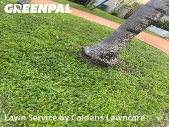 Lawn Care Service nearby Surfside, FL, 