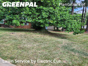 Lawn Care Service nearby Cary, NC, 
