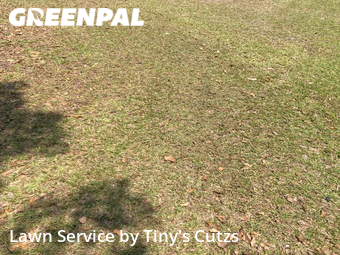 Lawn Mowing nearby Valdosta, GA, 