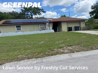 Grass Cutting nearby Winter Haven, FL, 