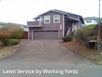 Garden Trimming in Seattle, 98108, Lawn Maintenance by Working Yardz, work completed in Nov , 2025