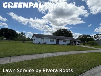 Grass Cut nearby Kissimmee, FL, 