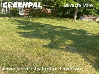 Lawn Cutting nearby Springfield, OH, 