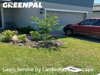 Lawn Cutting nearby Davenport, FL, 