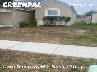 Lawn Mow nearby Tampa, FL, 