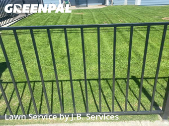 Yard Cutting nearby Clovis, CA, 