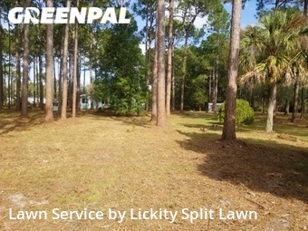 Yard Cutting nearby Fernandina Beach, FL, 