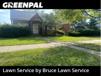 Yard Cutting nearby Broadview, IL, 
