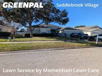 Lawn Carein Wesley Chapel,33544,Lawn Cutting by Momentum Lawn Care, work completed in Jan , 2026