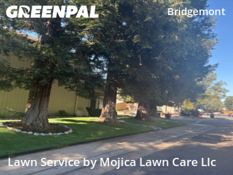Work completed by local-lawn-care-services-in-Citrus Heights-CA