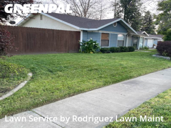 Grass Cutting nearby Tulare, CA, 