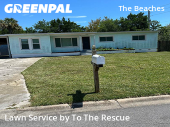 Lawn Cutting nearby Jacksonville Beach, FL, 