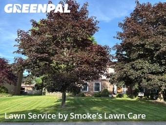 Lawn Cut nearby North Royalton, OH, 
