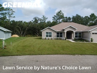 Lawn Cut nearby Homosassa, FL, 
