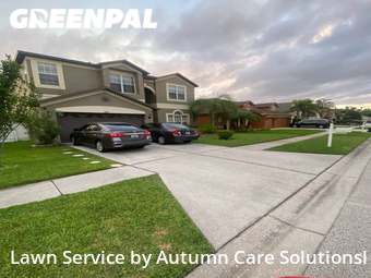 Lawn Mowing Service nearby Tampa, FL, 