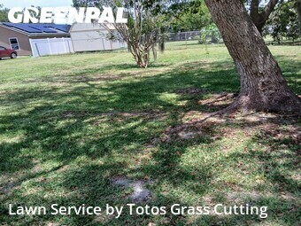 Lawn Mowing Service nearby Apopka, FL, 