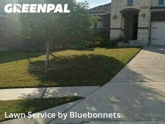 Lawn Mow nearby Pflugerville, TX, 