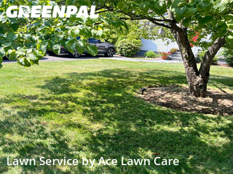 Lawn Maintenance nearby Fairfield, CT, 