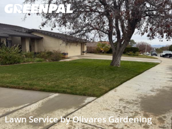 Work completed by yard-maintenance-professionals-in-Palmdale-CA