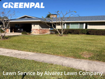 Lawn Cutin Altamonte Springs,32701,Lawn Maintenance by Alvarez Lawn Company, work completed in Dec , 2025