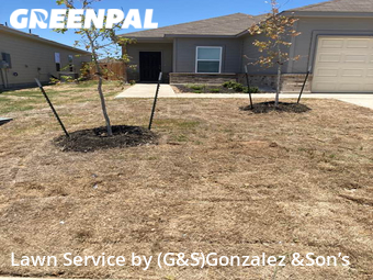Yard Cutting nearby San Antonio, TX, 