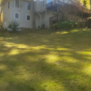 lawn-maintenance-in-Collierville-TN