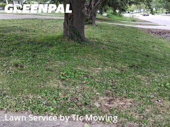 Lawn Mow nearby Decatur, IL, 