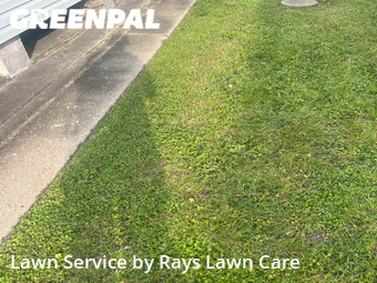 Lawn Care Service nearby New Orleans, LA, 